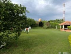 para tu tranquilidad excelentes fincas y lindas cm f. 64 - Finca en Pereira, Risaralda